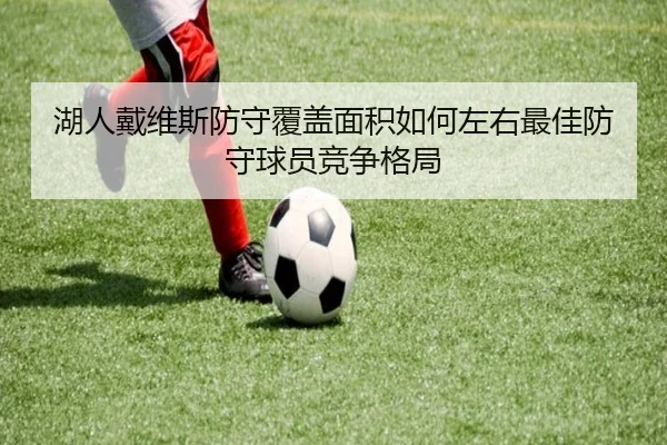 湖人戴维斯防守覆盖面积如何左右最佳防守球员竞争格局