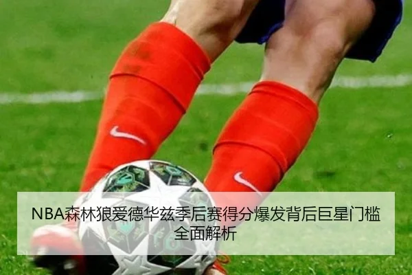 NBA森林狼爱德华兹季后赛得分爆发背后巨星门槛全面解析