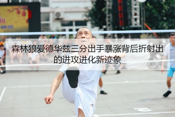 森林狼爱德华兹三分出手暴涨背后折射出的进攻进化新迹象
